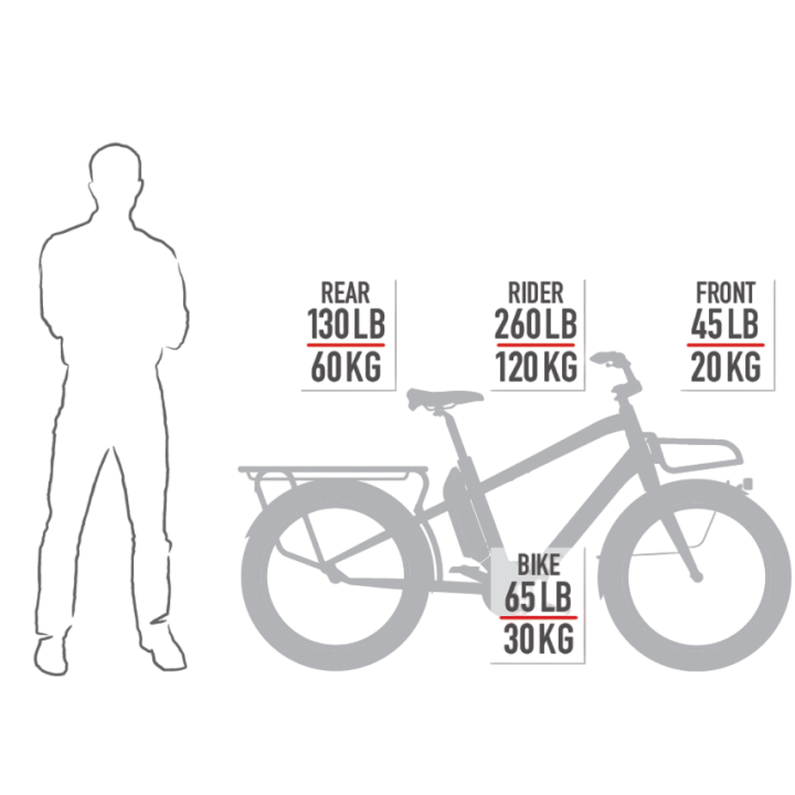 Vélo Electrique Urbain BENNO Boost E Unisex 500Wh