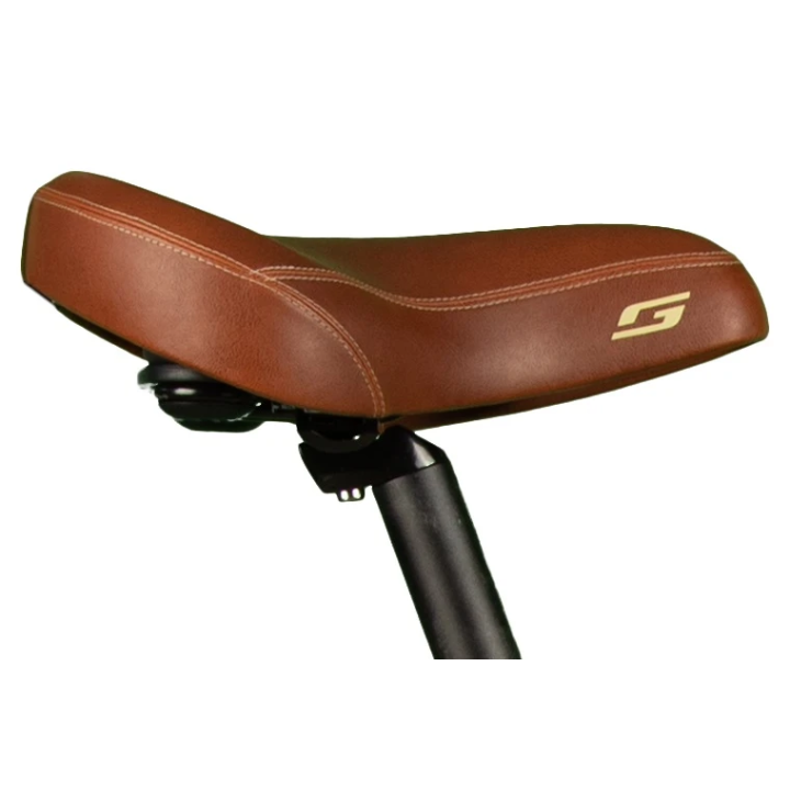 Velo Electrique E Absolute 34 Plus - 400 Wh