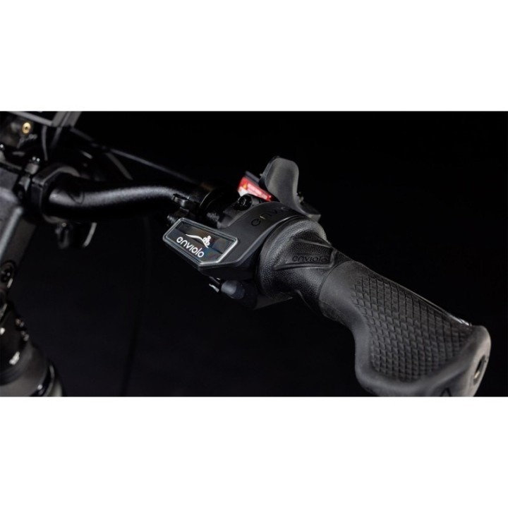 Trike Hybrid Cargo 750