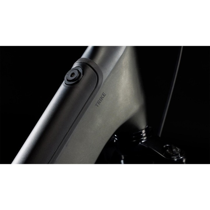 Trike Hybrid Cargo 1500