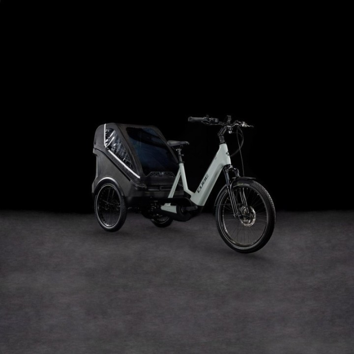 Trike Hybrid Family 1500