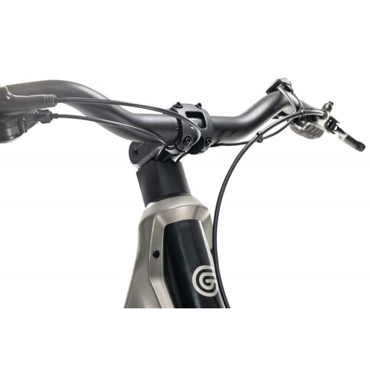 G-LIFE INTENSE MIXTE - 500Wh (purion 200)