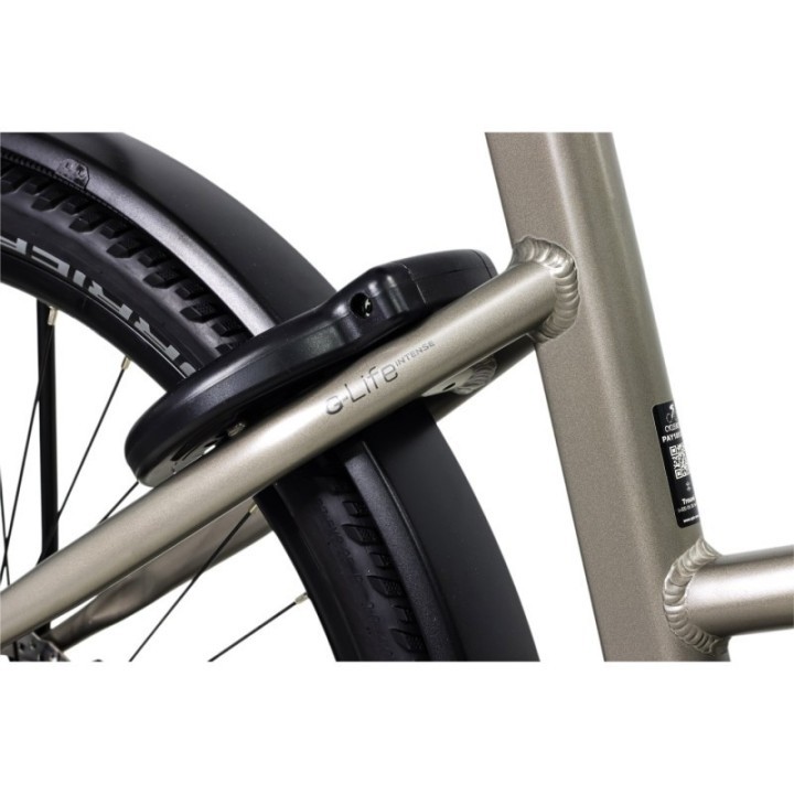 G-LIFE INTENSE MIXTE - 500Wh (purion 200)