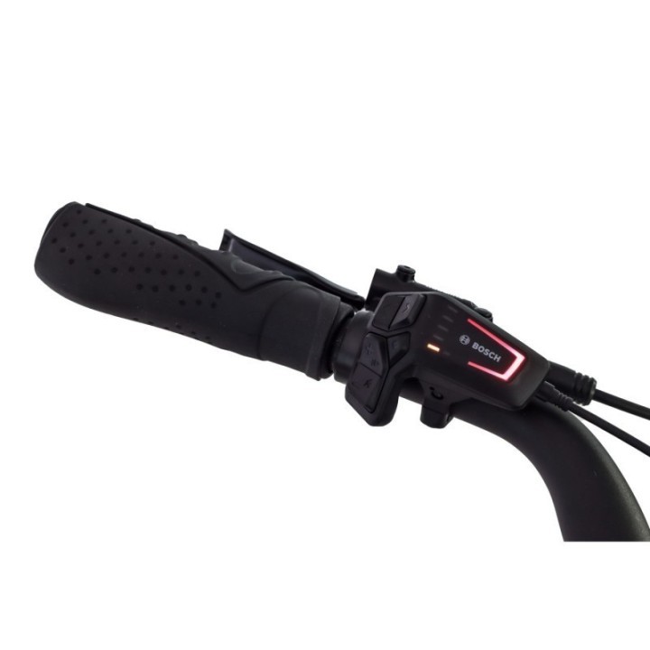 eC01 D9 Performance - 500Wh