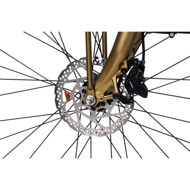 Solex Intemporel 1946 Confort  - "Louis d'or" édition Versailles