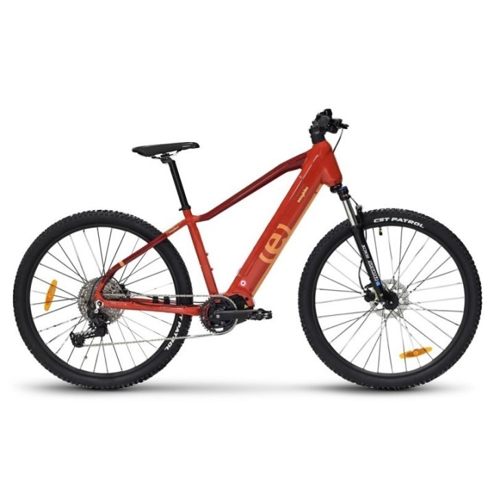 EASYBIKE - EASY SPORT D11