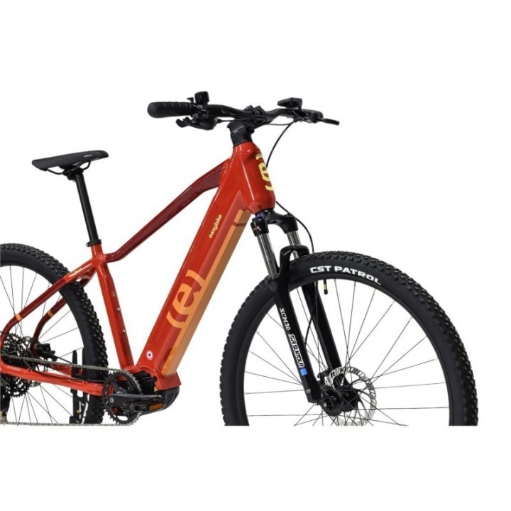 EASYBIKE - EASY SPORT D11