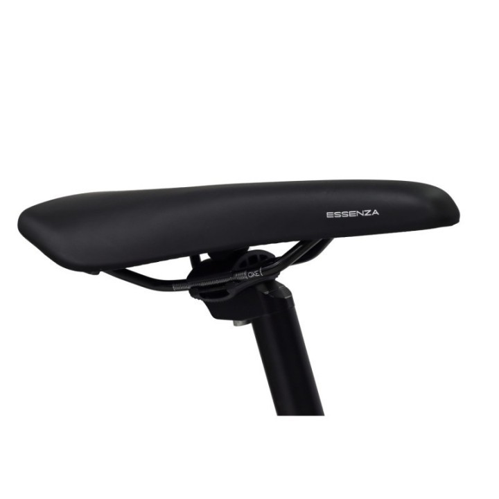 EASYBIKE - EASY SPORT D11