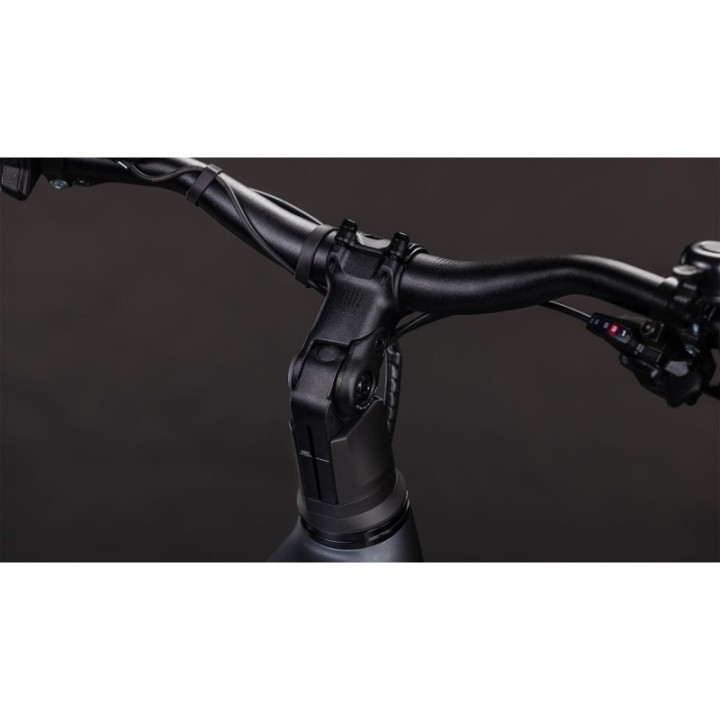 Bosch CX, batterie PowerTube 800 Wh, géométrie Effcient Comfort