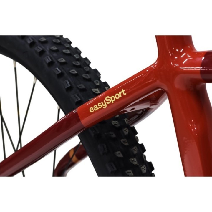 EASYBIKE - EASY SPORT D11