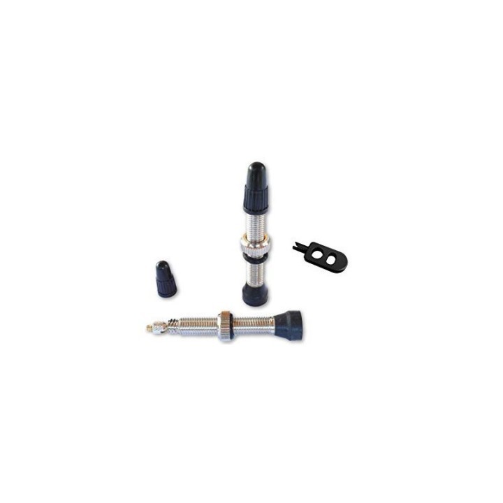 sachet de 2 valves tubeless acier bear 44mm